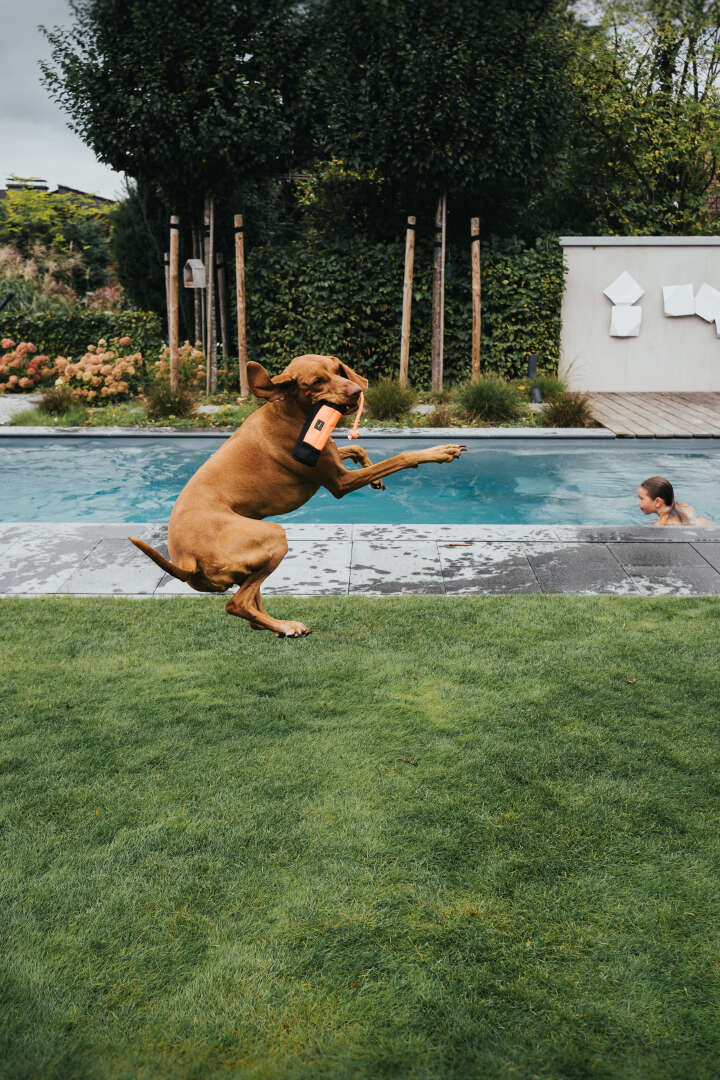 HUNTER Trainer-Snack Dummy mit Seil